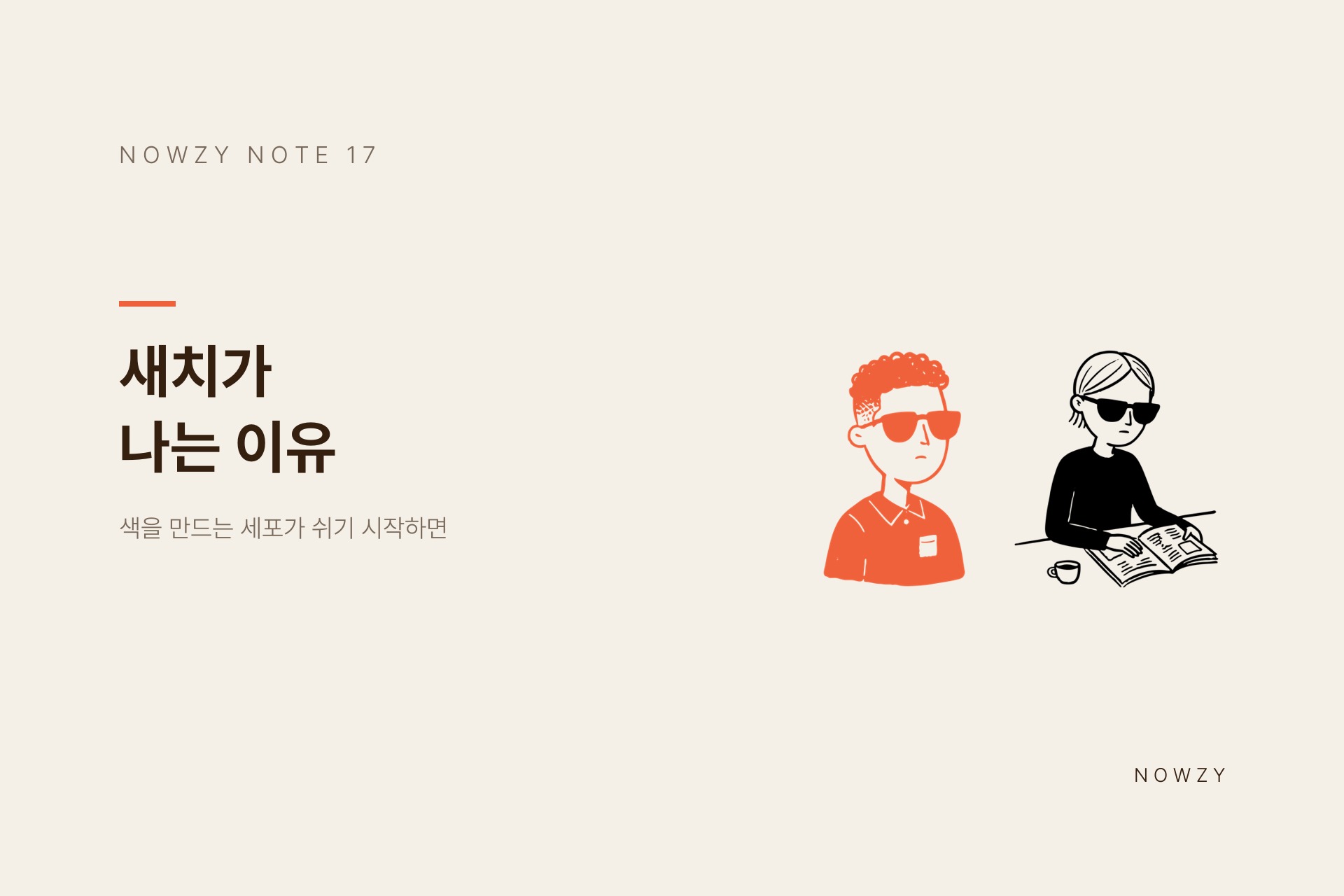 광교 미용실이 알려주는, 새치가 나는 이유